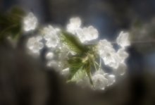 Anfang Mai / ***