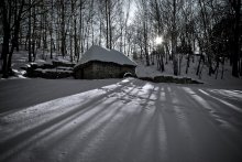 winter, the diagonal ... / ***