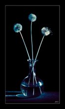 Fluffy looking glass / *******