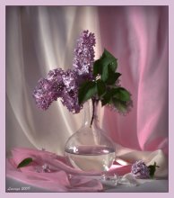 Die meisten Frühlingsblumen / ******