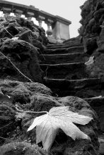 Soft landing / ***