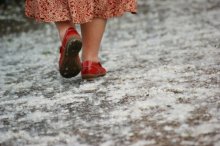 Pappel Schnee / ***