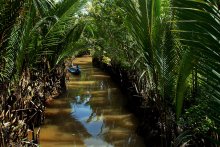 On the Mekong II / ***
