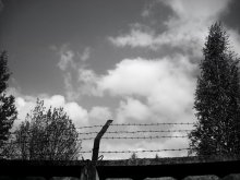Where are you?? / 20.04.2009