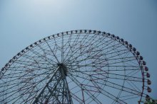 Wheel / ***