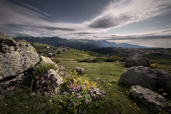 Alpine Meadows of Guria / ***