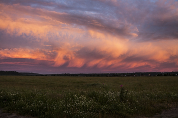 Nebel zerstreut / ***