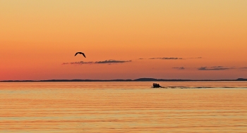 Evening on Ladoga / ***