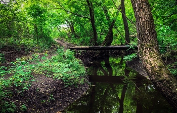 Bridge / ***