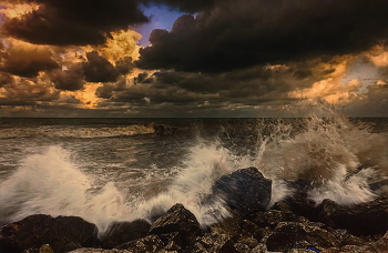 surf / ***
