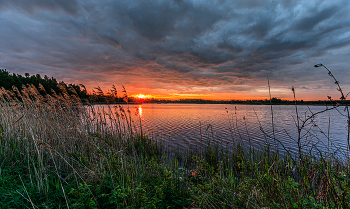 1 / ????????????????