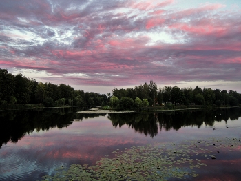 At the end of the day / ***