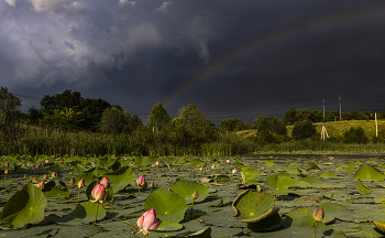 Vor dem Regen / ***