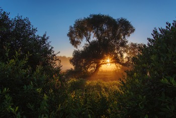 Sunrise / ***