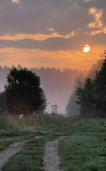 At dawn / ***
