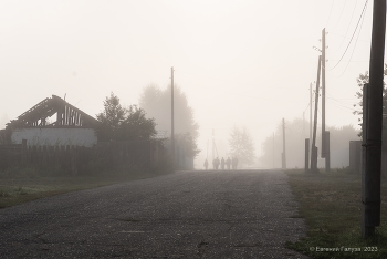 Rural morning / ***