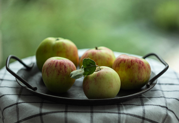 Äpfel / ***