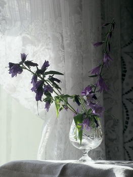 Tenderness of Nature / ***