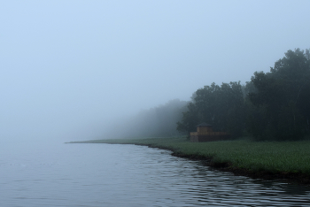 Foggy morning / ***