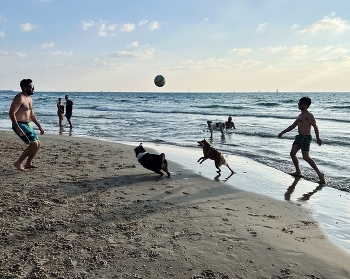 On the sea / ***