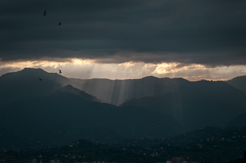 Sun Through The Clouds / ***