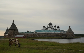 Solovkm / ***