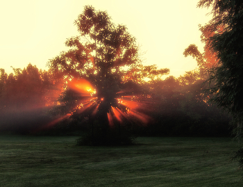 Explosion / ***