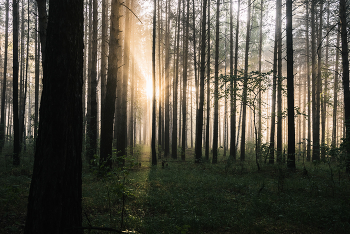 Sun beam / [img]https://i.imgur.com/4bfjgnN.jpg[/img]
[img]https://i.imgur.com/9btUvRR.jpg[/img]
