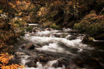 mountain River / ...