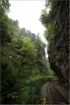 Vor einer scharfen Kurve / ***