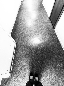 Selection / ***