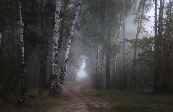 In den dichten Nebel / ***
