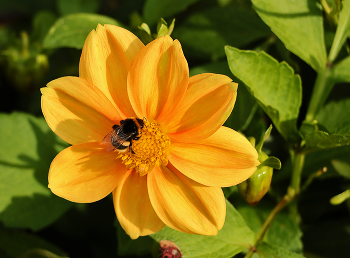 lecker! / ***