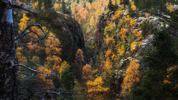 Canyon / ***