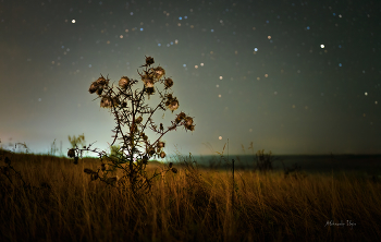 Nachtlandschaft / ***