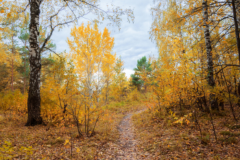 Herbst / ***