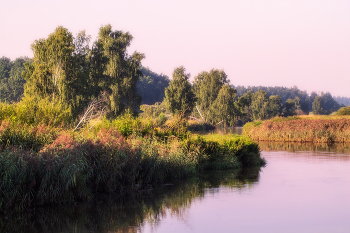 On the river bank / ***