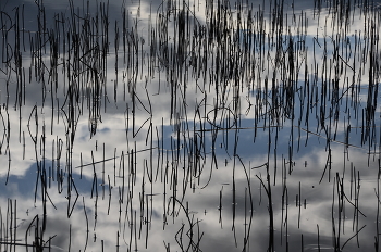 No name / ***