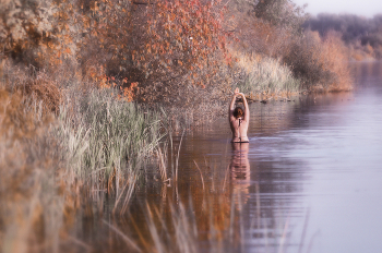 Morning walks / ***