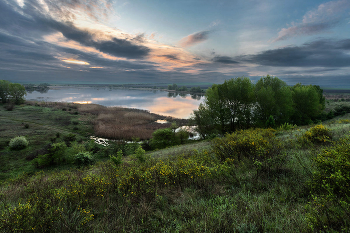 Old pond / ***