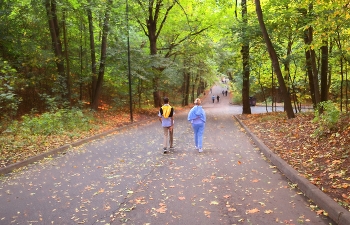 Herbst / ***