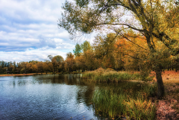 Autumn / ***