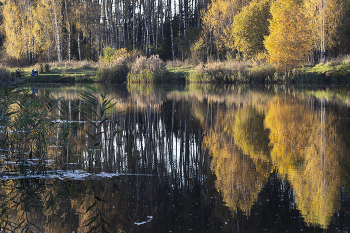 Die Palette des Herbstes / ~~~