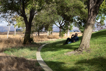 alone with a / .....