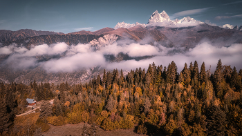 Ushba Mount In Autumn / ***