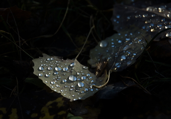 Oktober / ***