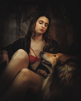Portrait eines Hundes / ***