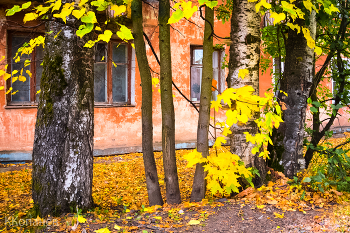 Autumn / ***