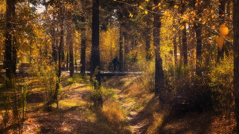 Autumn / ***