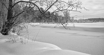 February ... / ....